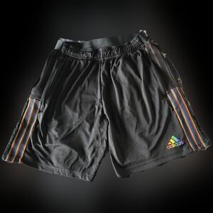 Adidas Men's Tiro Pride Shorts - Large